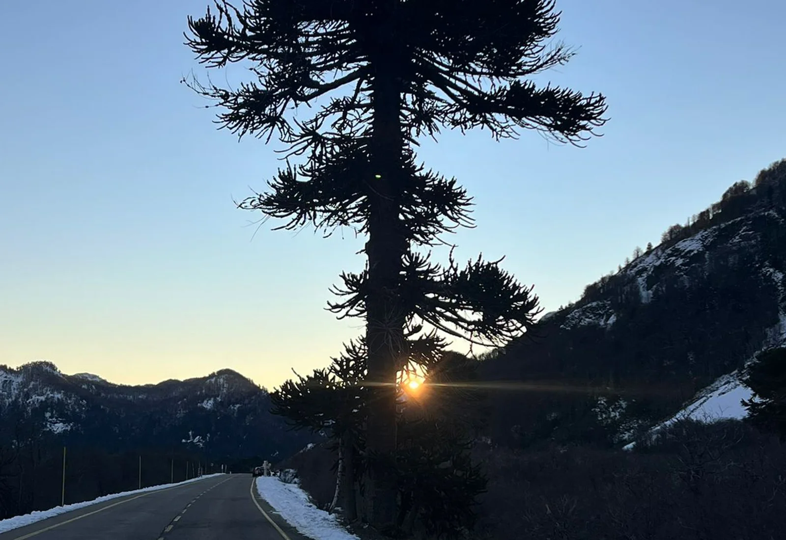 Camino hacia Mamuil Malal