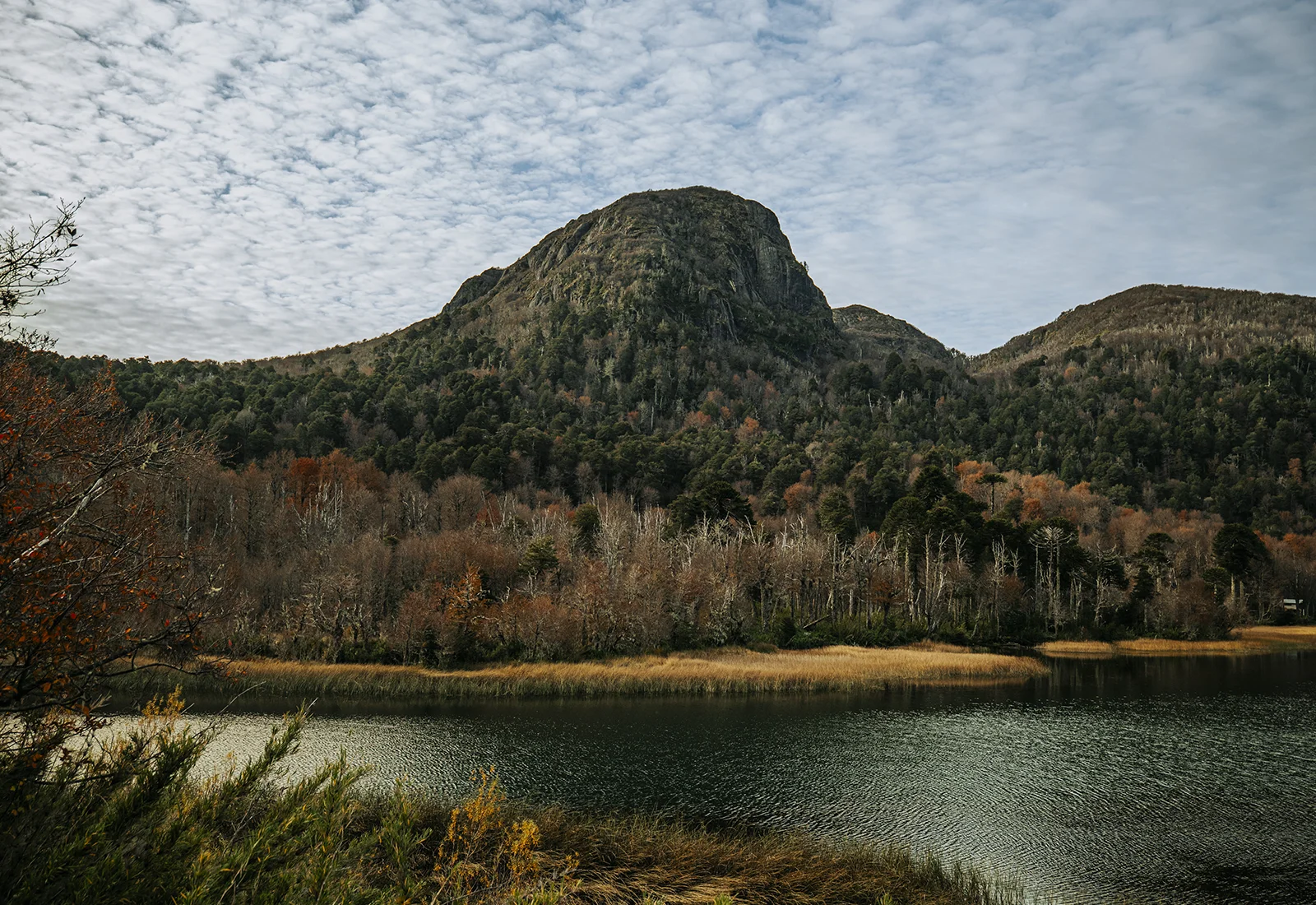 Laguna Quillelhue