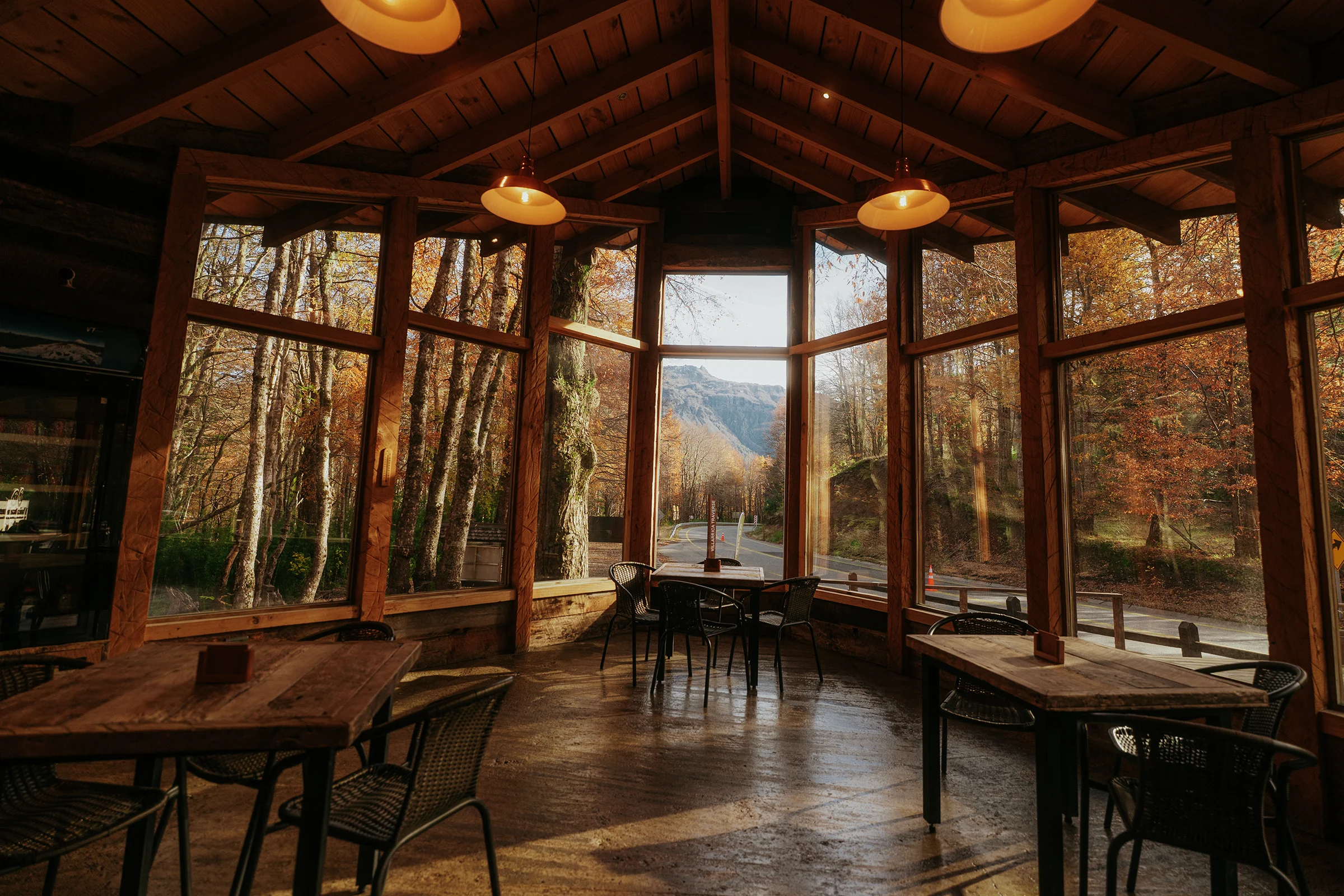 Cafetería VT Coffee rodeada de bosque en el Parque Nacional Villarrica
